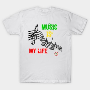 Music Tees, Music concert, Party tees. T-Shirt
